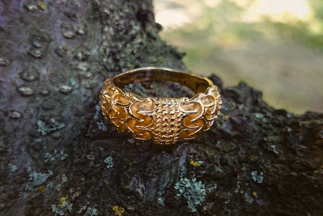 Treasure from Hornelund Treasure from Hornelund